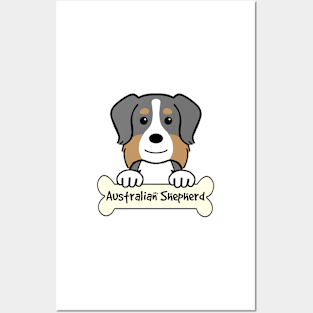 Australian Shepherd Posters and Art